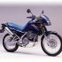 Kawasaki Anhelo 250cc